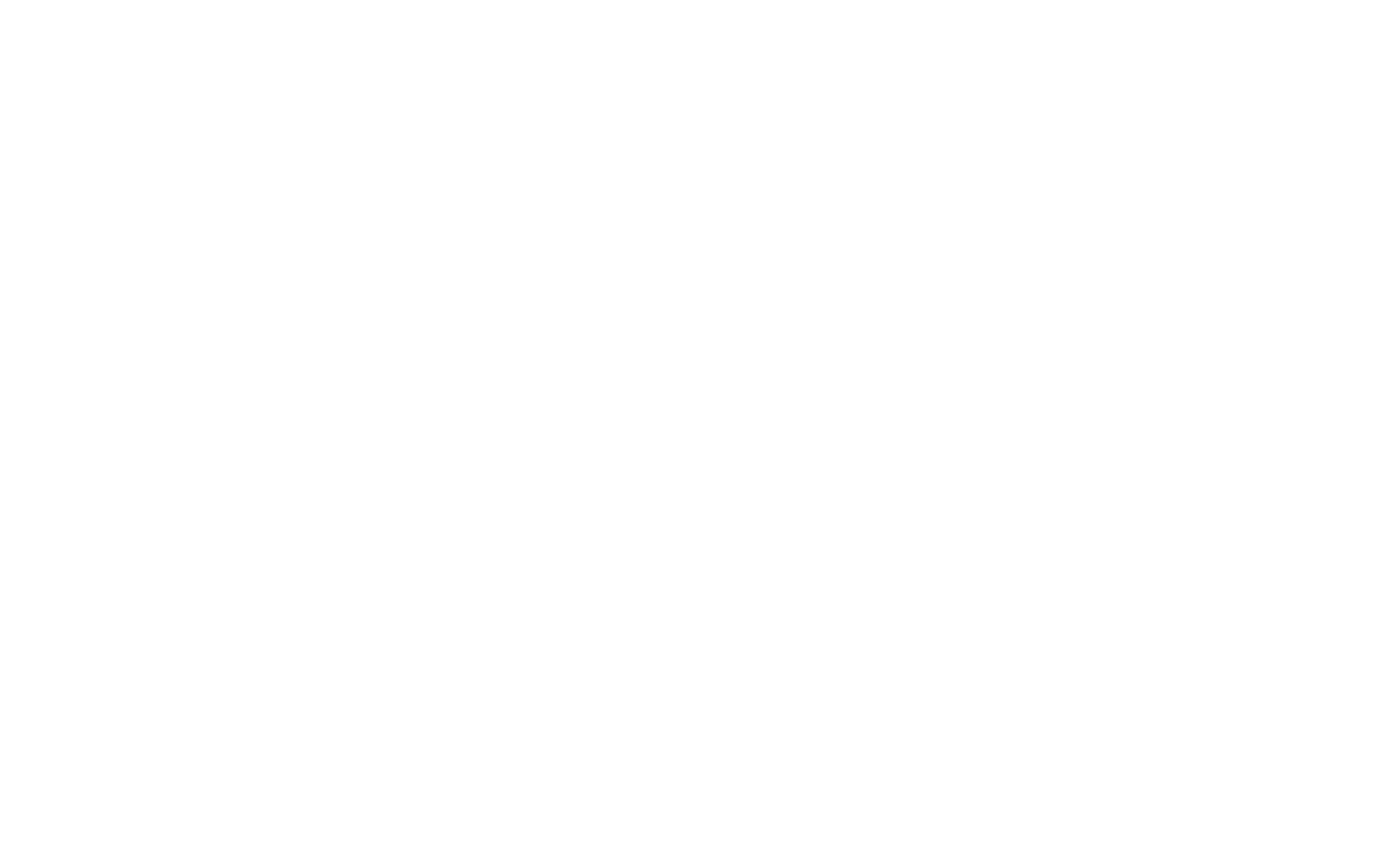 Logo Schiffer weiss